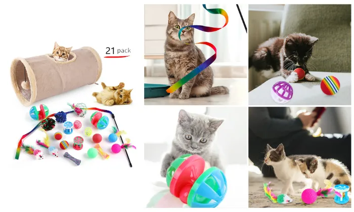 21 Piece Kitten Toys Set