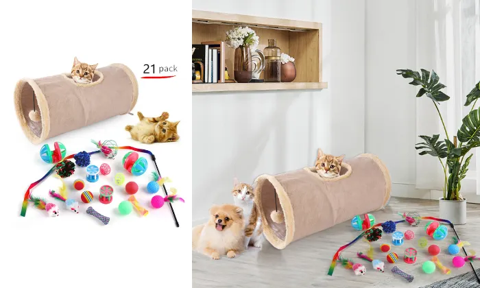 21 Piece Kitten Toys Set