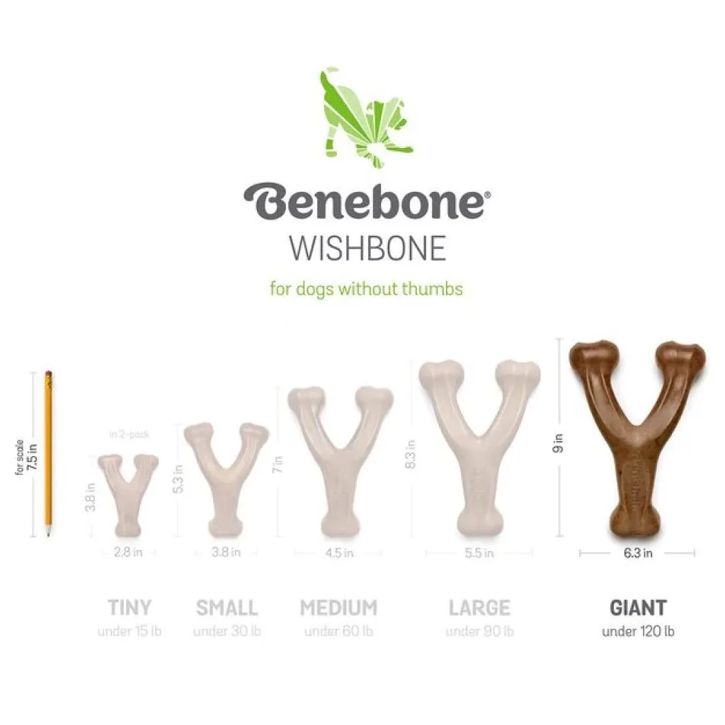 Benebone Bacon Flavor Wishbone Durable Chew Toy for Dogs