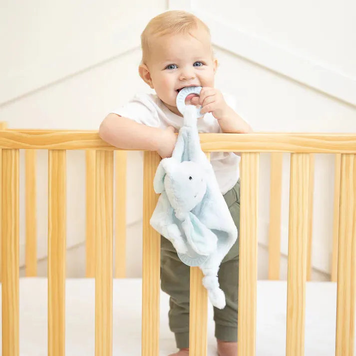 Blue Dog Teether Buddy