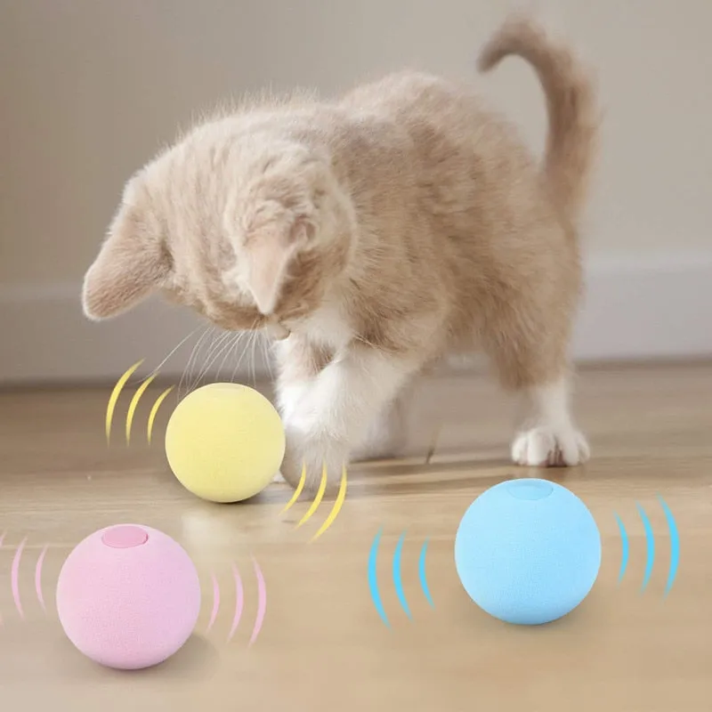 Cat Toy | Interactive Ball