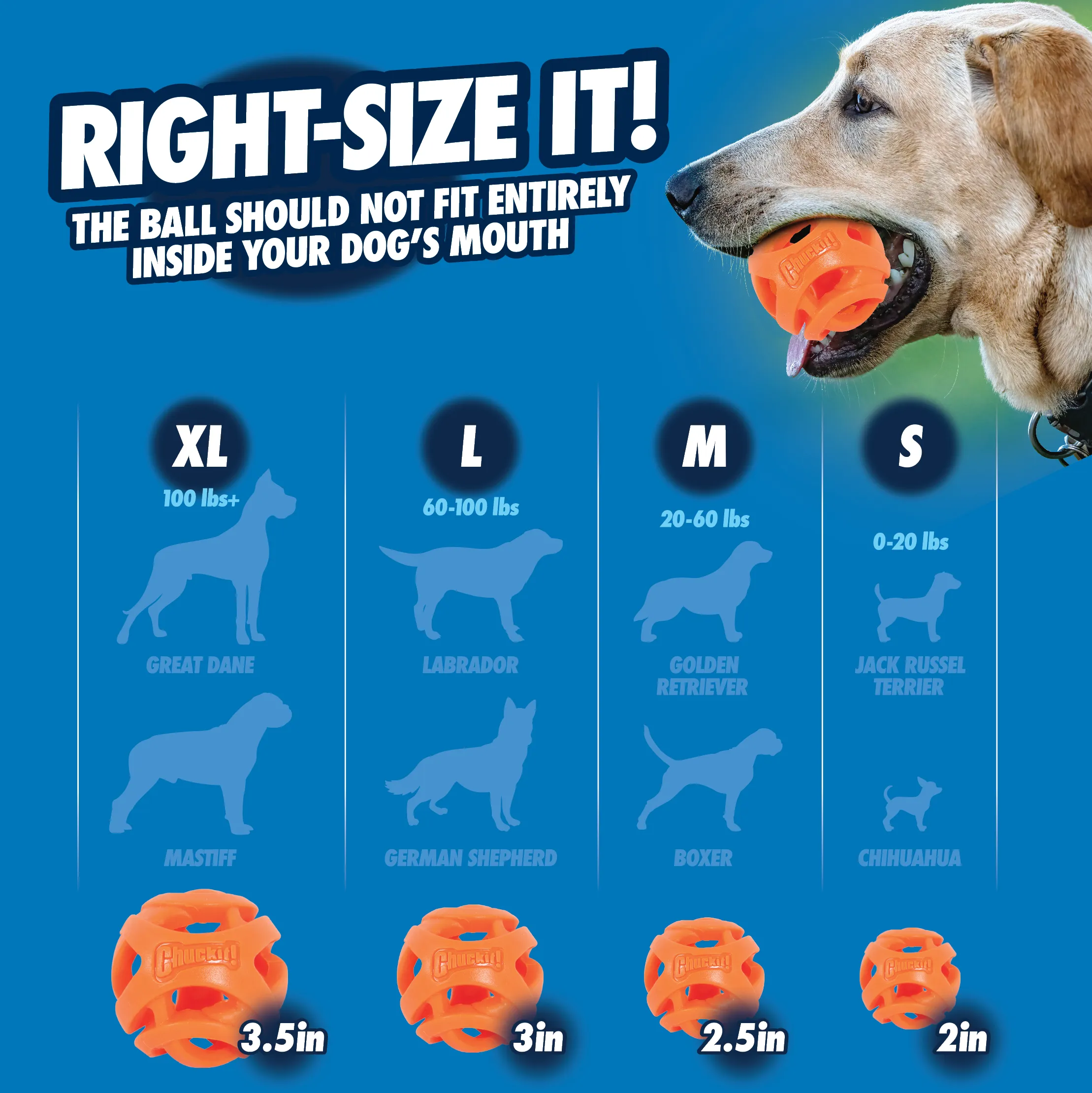 Chuckit! Air Fetch Ball