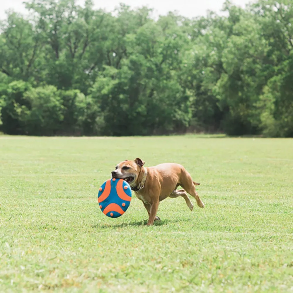 Chuckit Whistle Flight Frisbee Dog Toy^^^