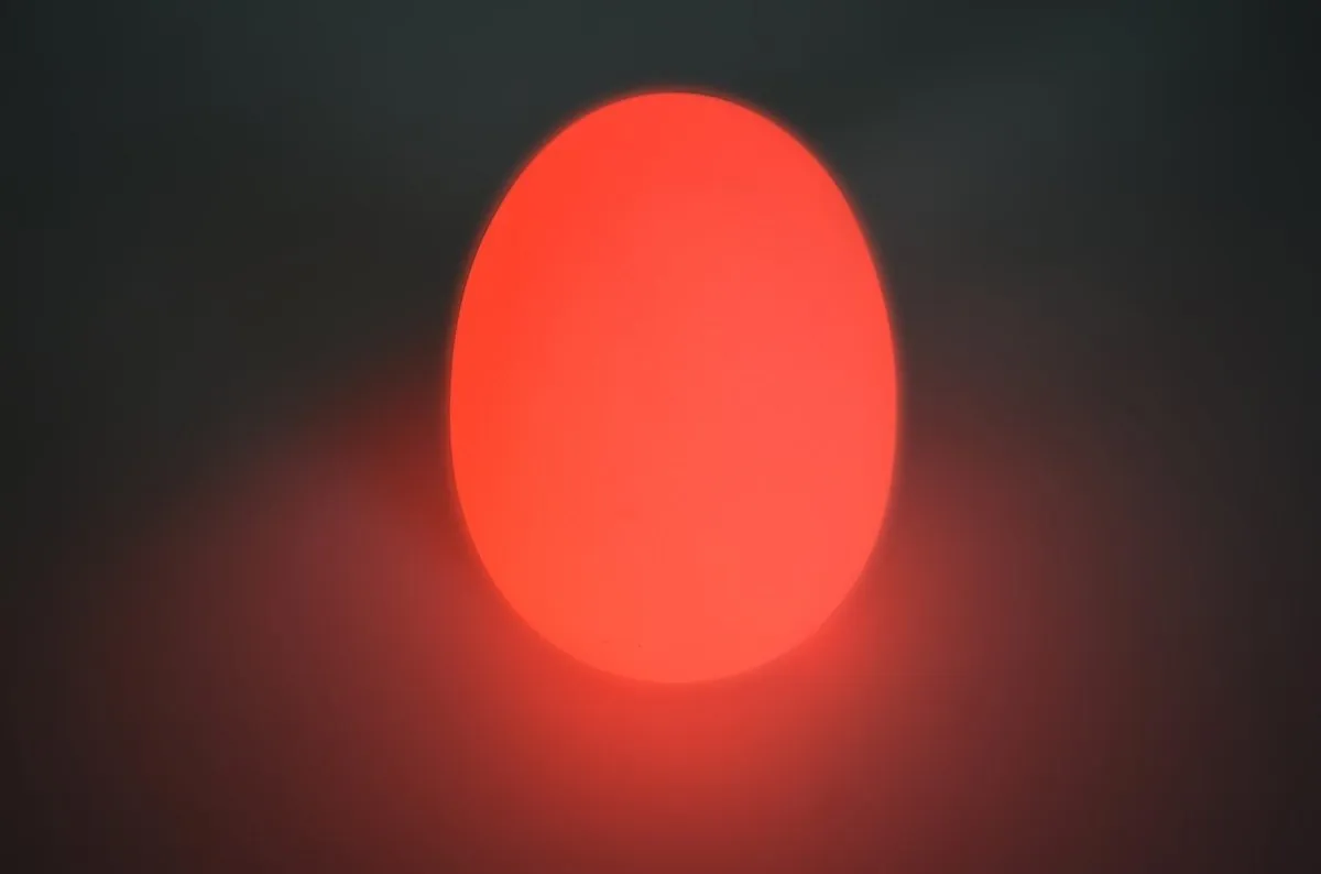 Colour Changing Egg