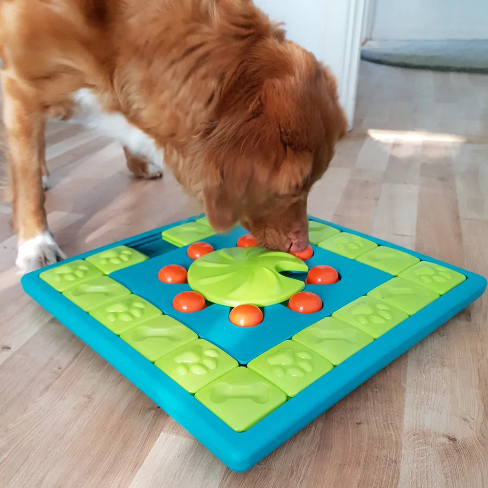 dog multipuzzle toy