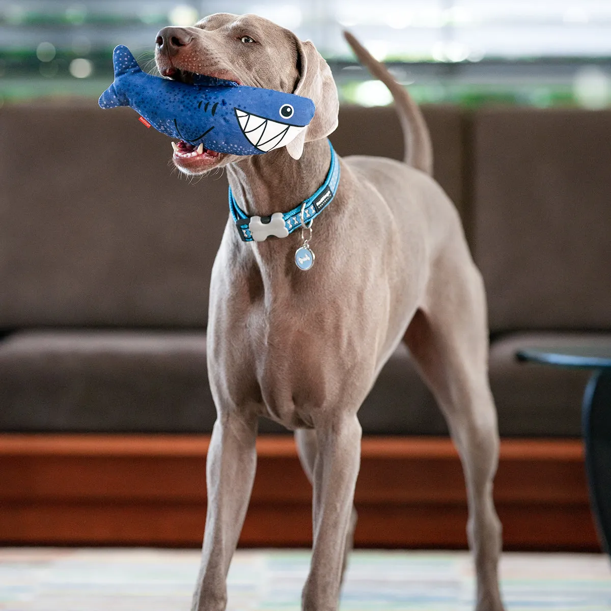 Durables Steve The Shark Dog Toy