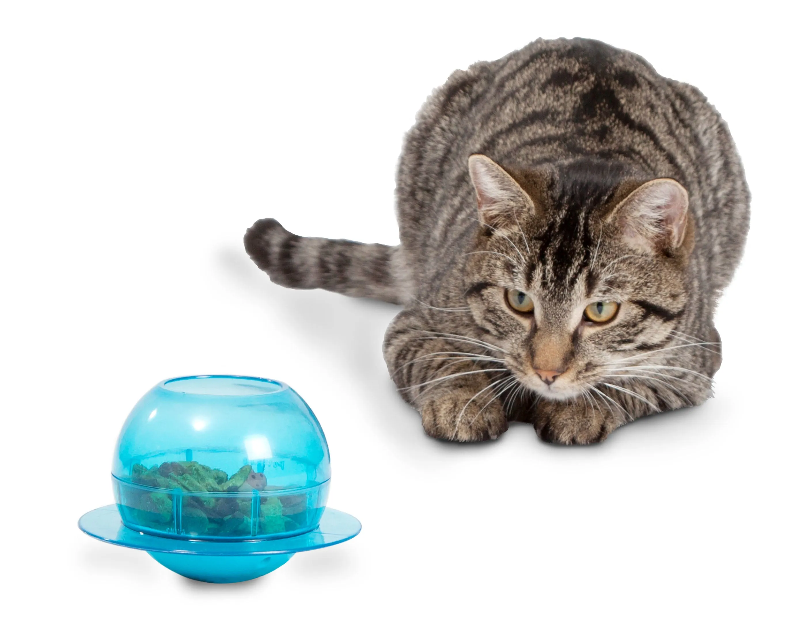 Fishbowl Cat Slow Feeder Toy - NEW!!!