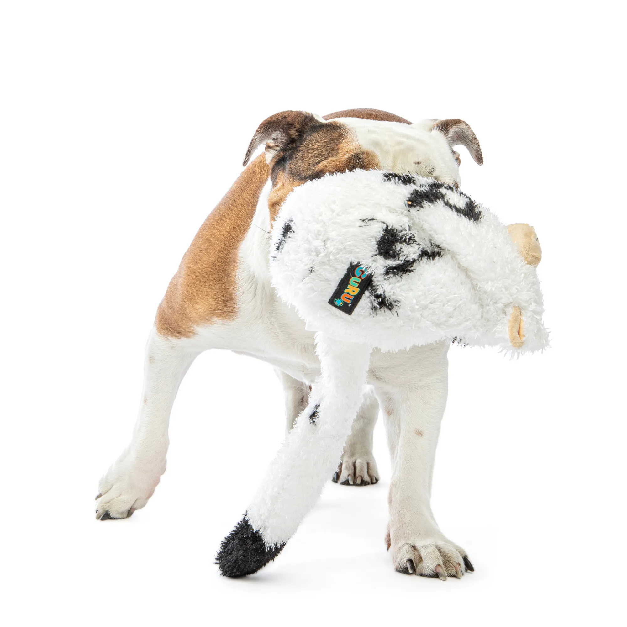 GURU Hide-A-Tail Cow Dog Toy Medium