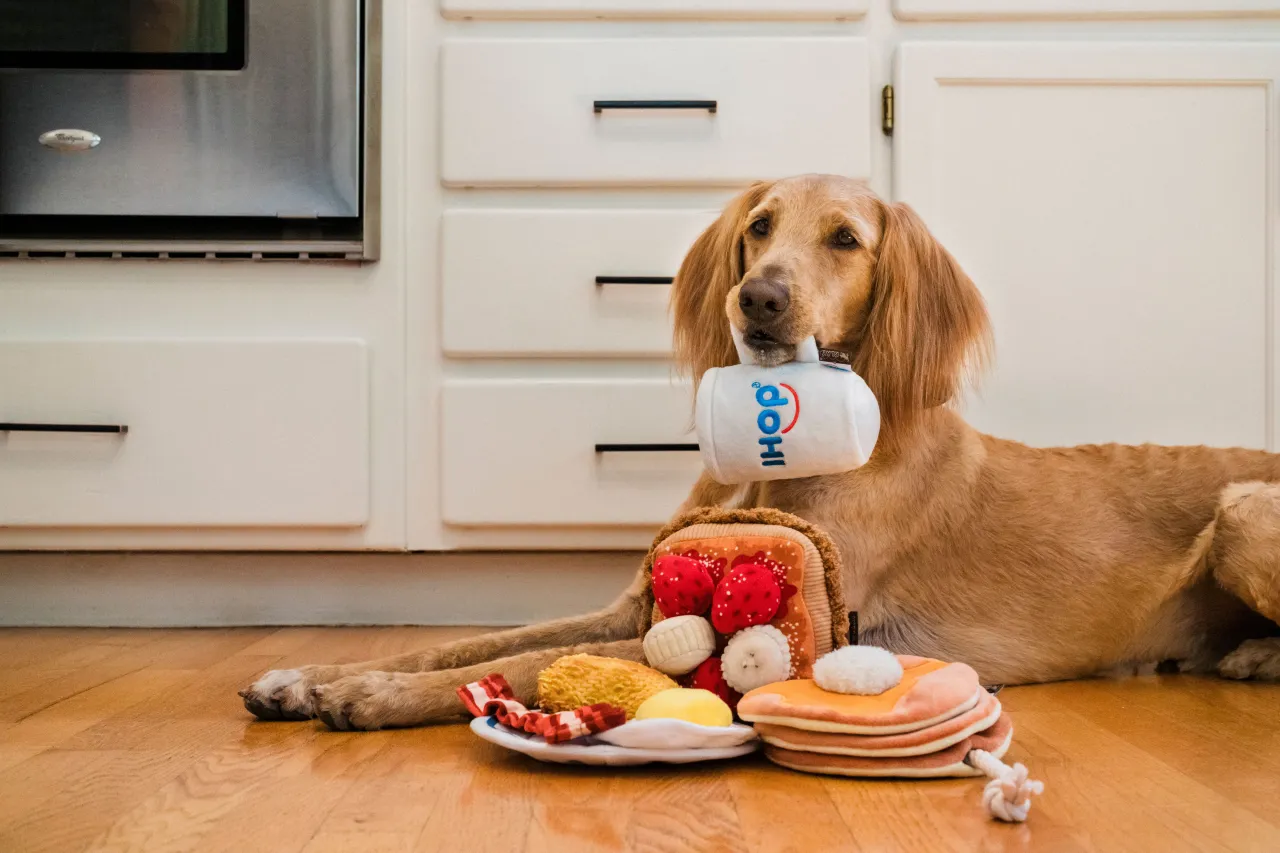 IHOP x P.L.A.Y. Squeaky Plush Dog toys, Eggcellent Play Platter