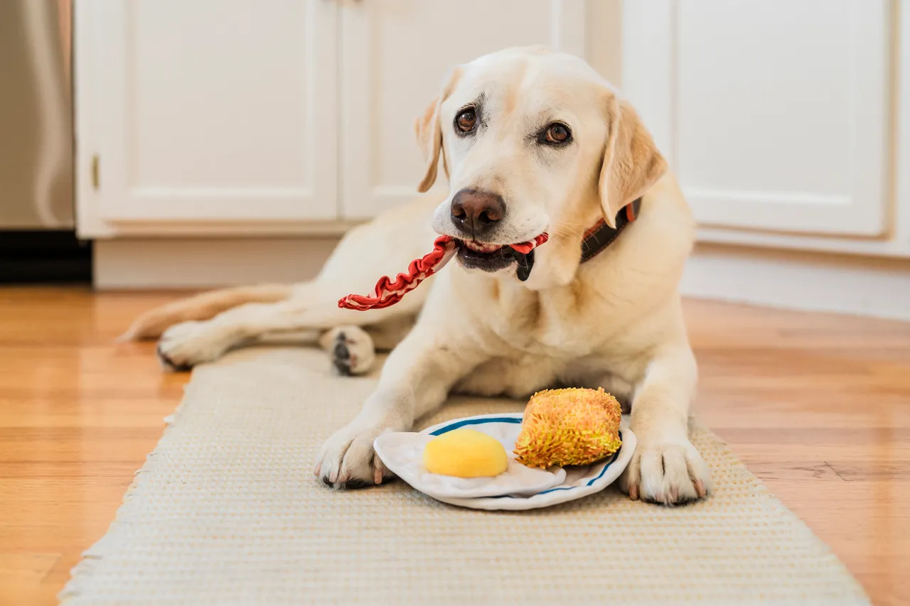 IHOP x P.L.A.Y. Squeaky Plush Dog toys, Eggcellent Play Platter