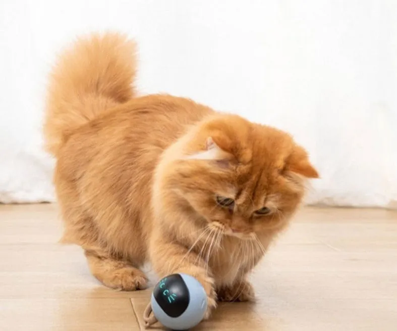 Interactive Jumping Ball Cat Toy