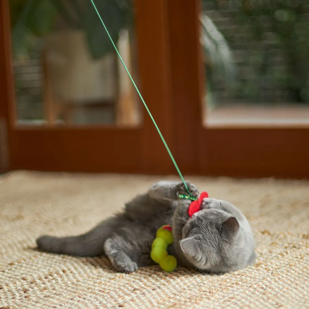 Kazoo Hungry Caterpillar Cat Toy