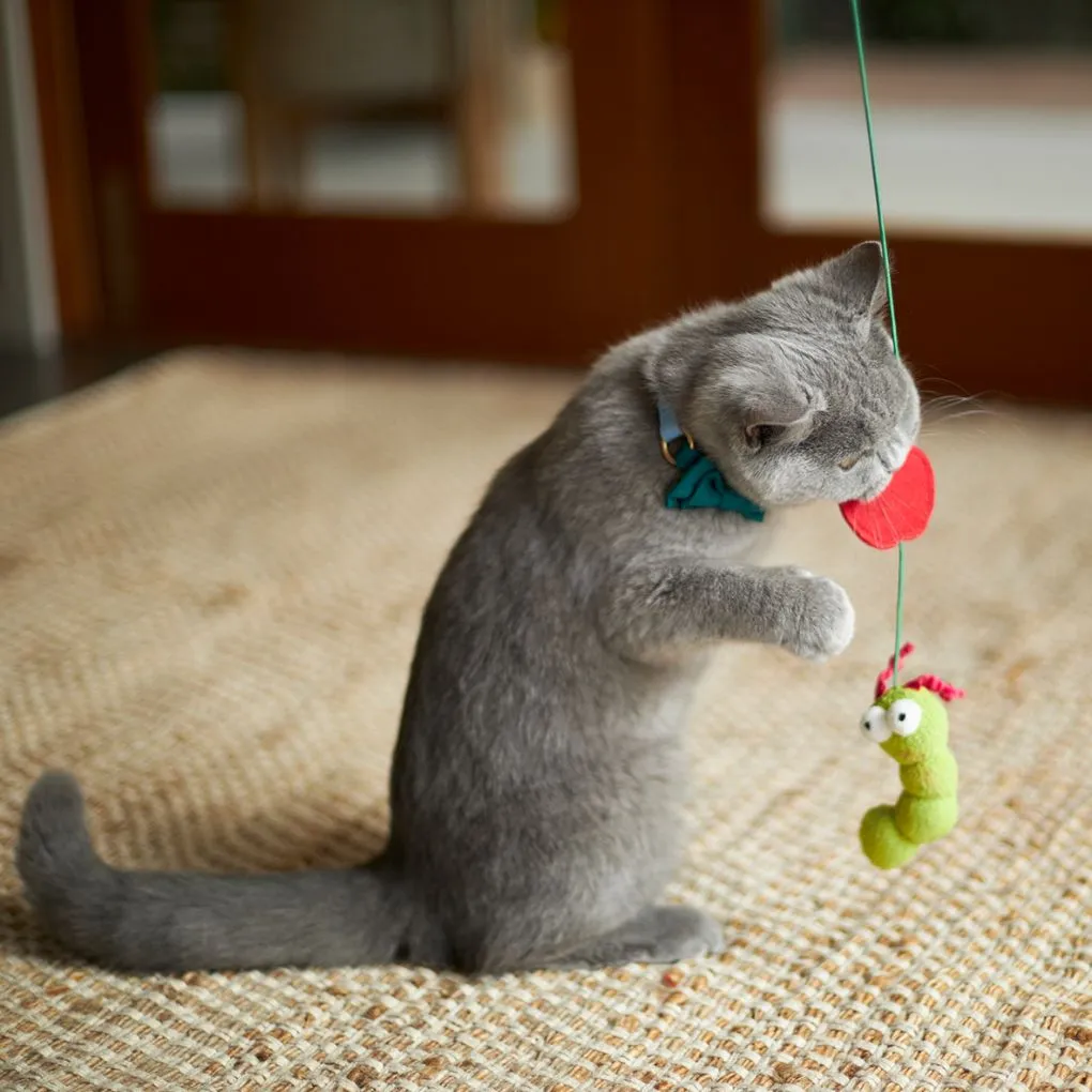 Kazoo Hungry Caterpillar Cat Toy