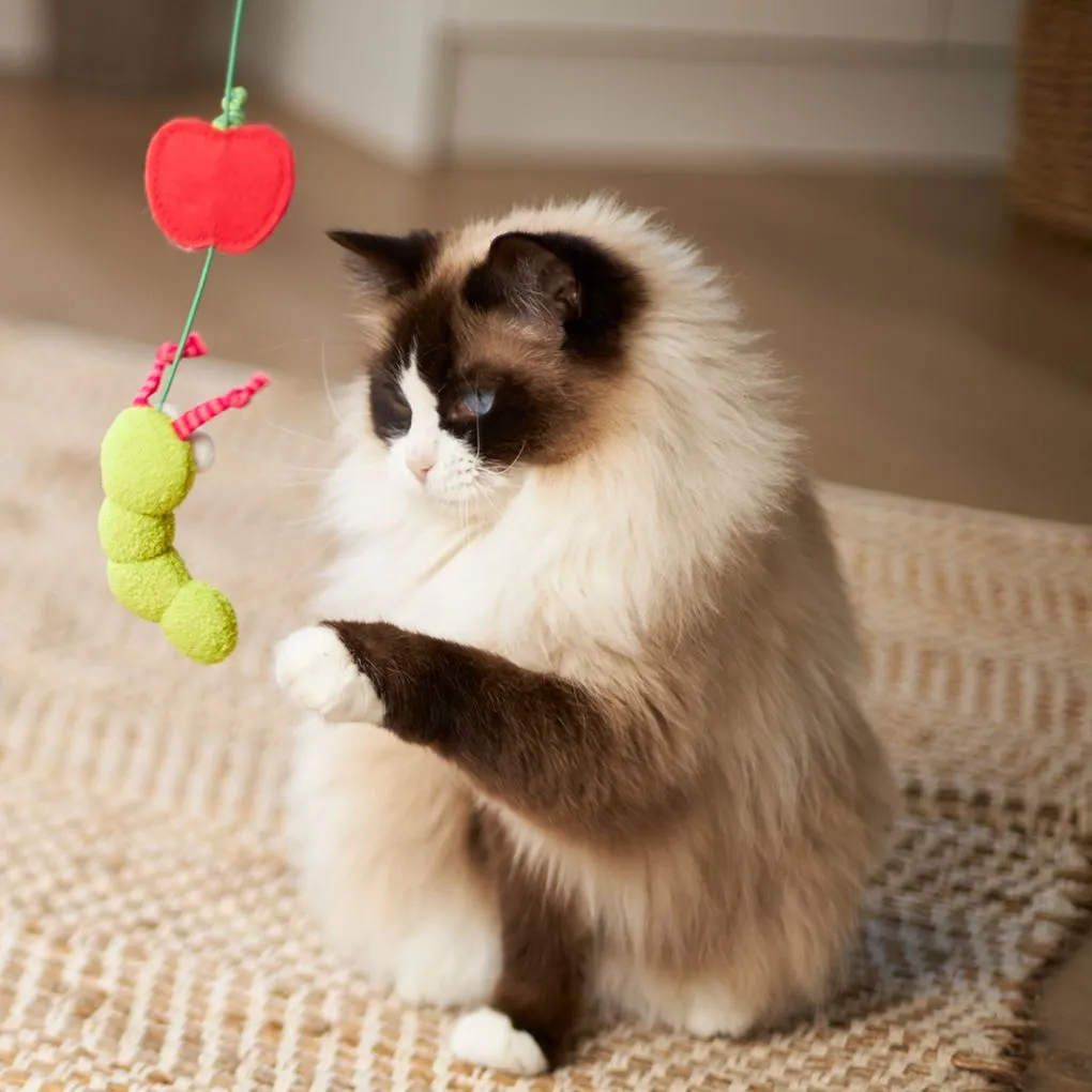 Kazoo Hungry Caterpillar Cat Toy