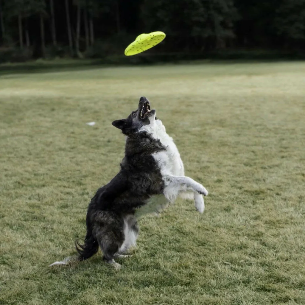 Kong Reflex Glide Flyer Toy For Dog