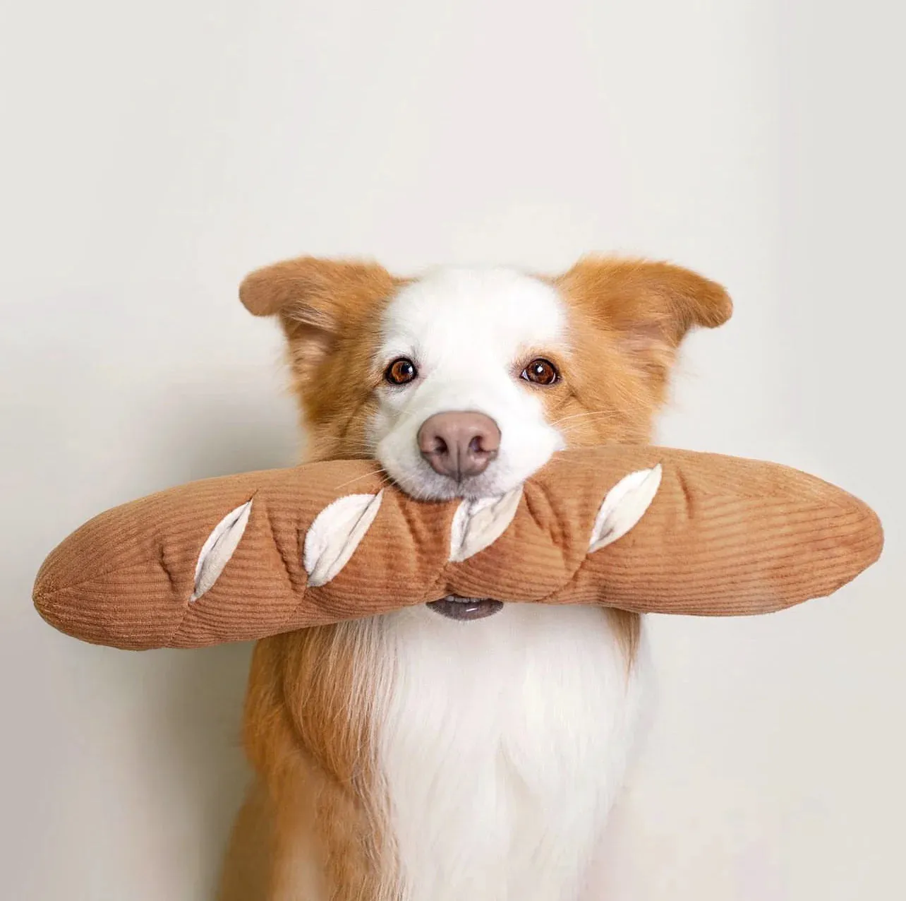 Lambwolf BAGUETTE with Enrichment Pockets and Squeaky