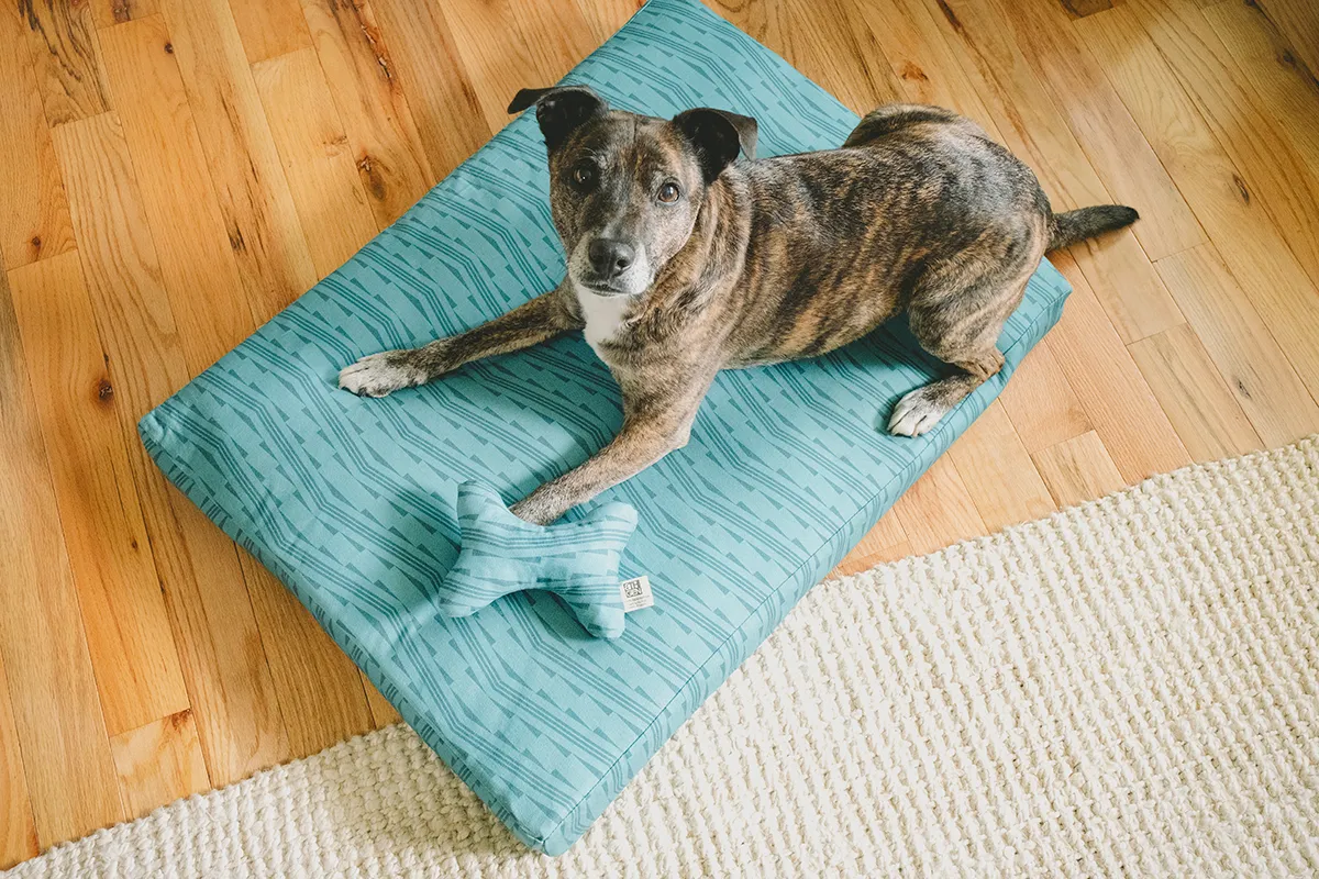 Lightning And Thunder Squeaky Toy