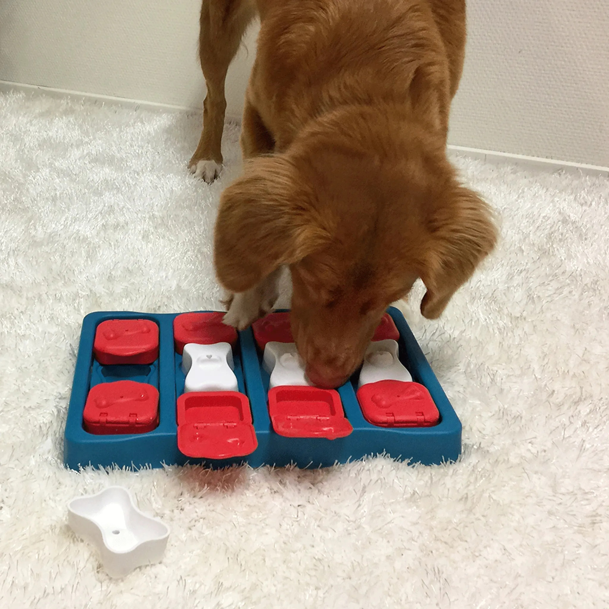 Nina Ottosson Intermediate Brick Dog Puzzle