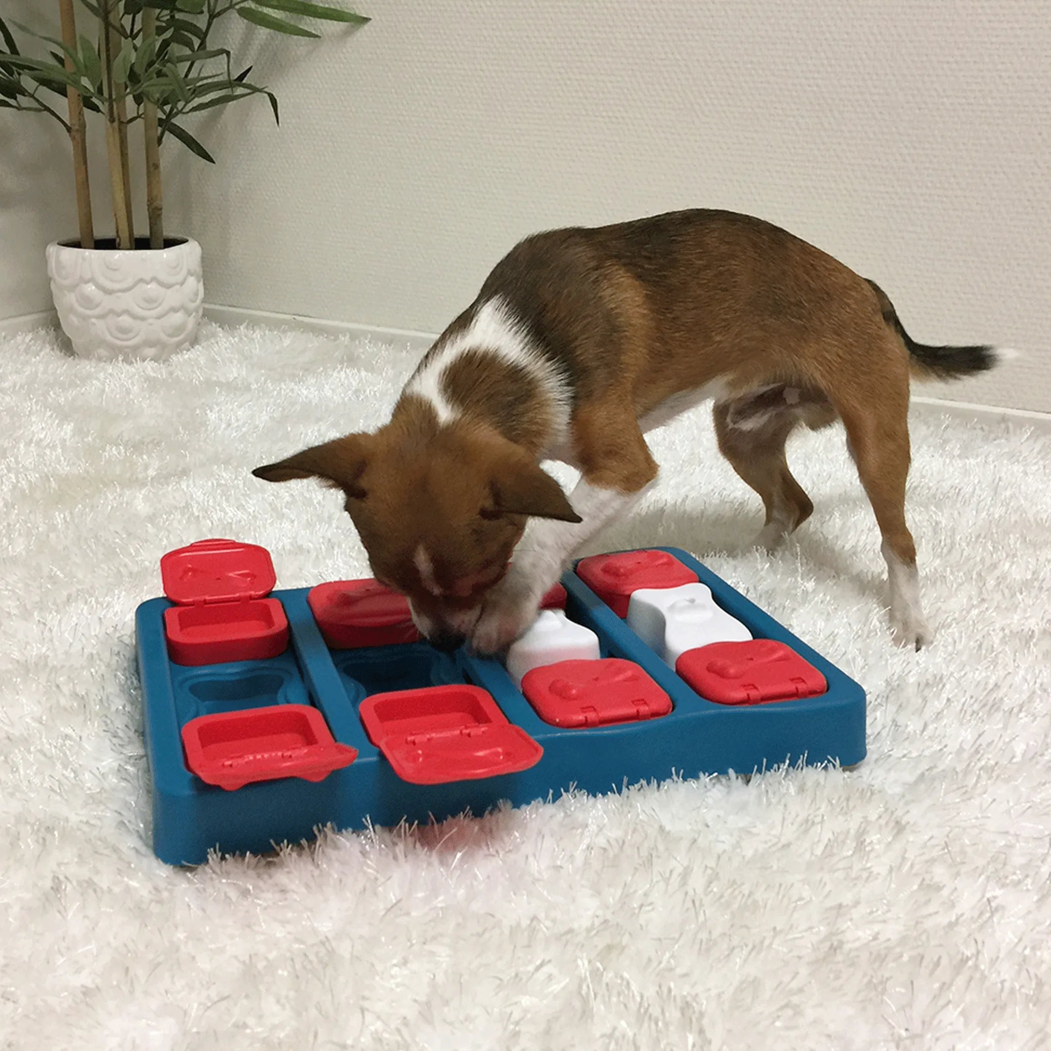 Nina Ottosson Intermediate Brick Dog Puzzle