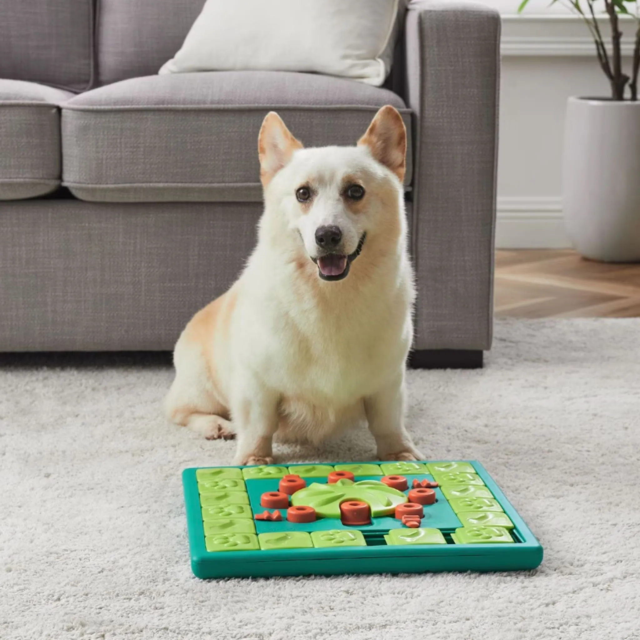 Nina Ottosson Multipuzzle Dog Toy - Green & Blue