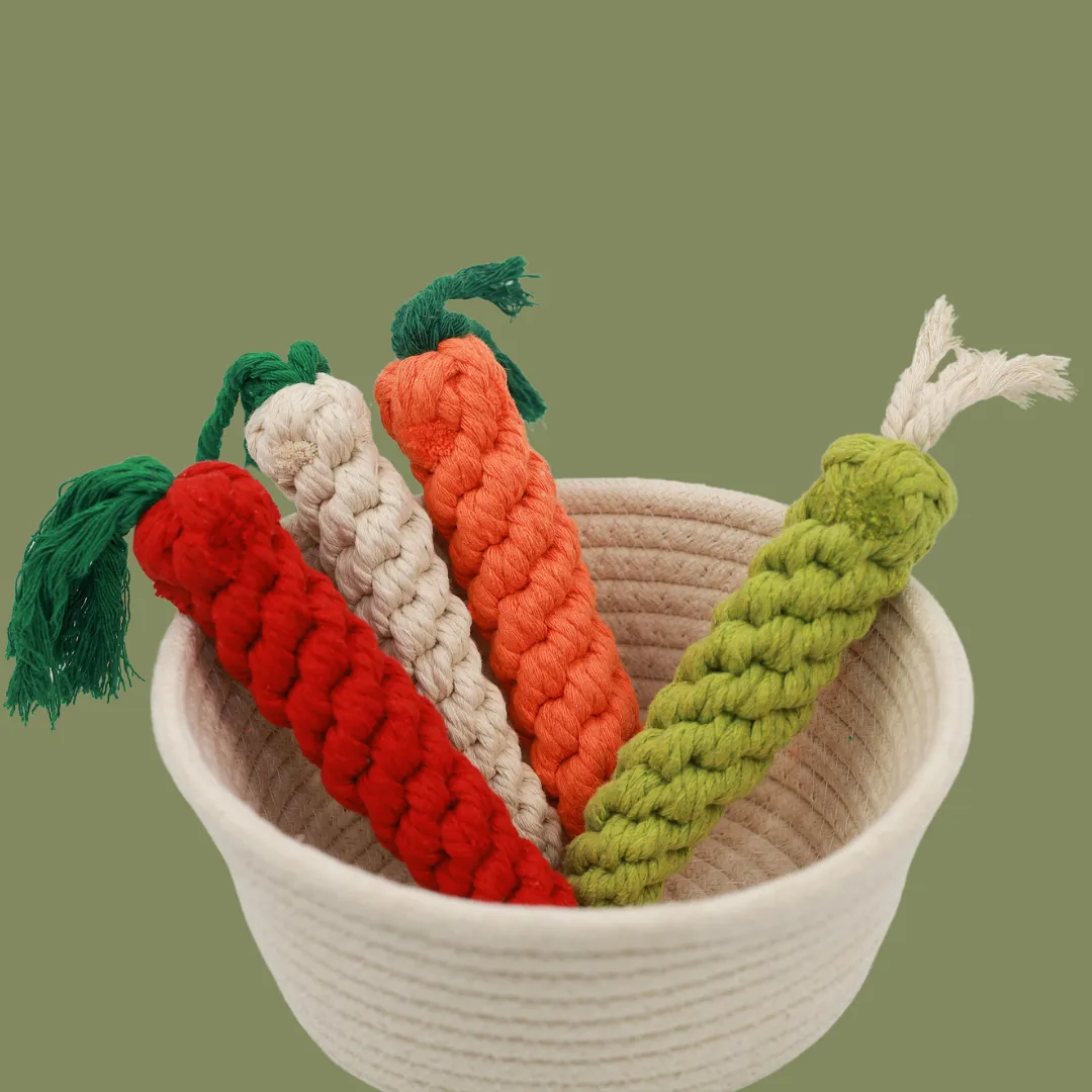 Palatable Carrot Rope Toys by Knotty Pawz