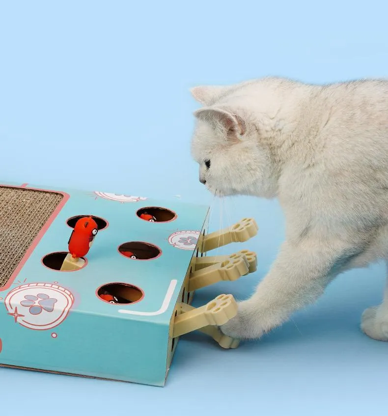 Peekaboo Interactive Cat Toy