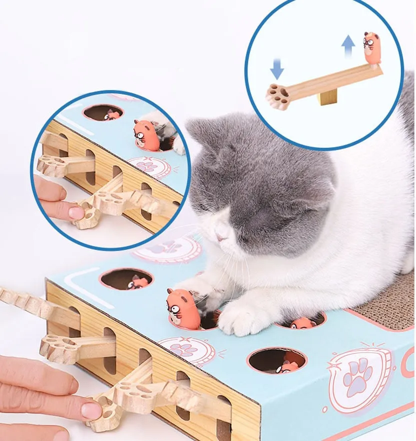 Peekaboo Interactive Cat Toy