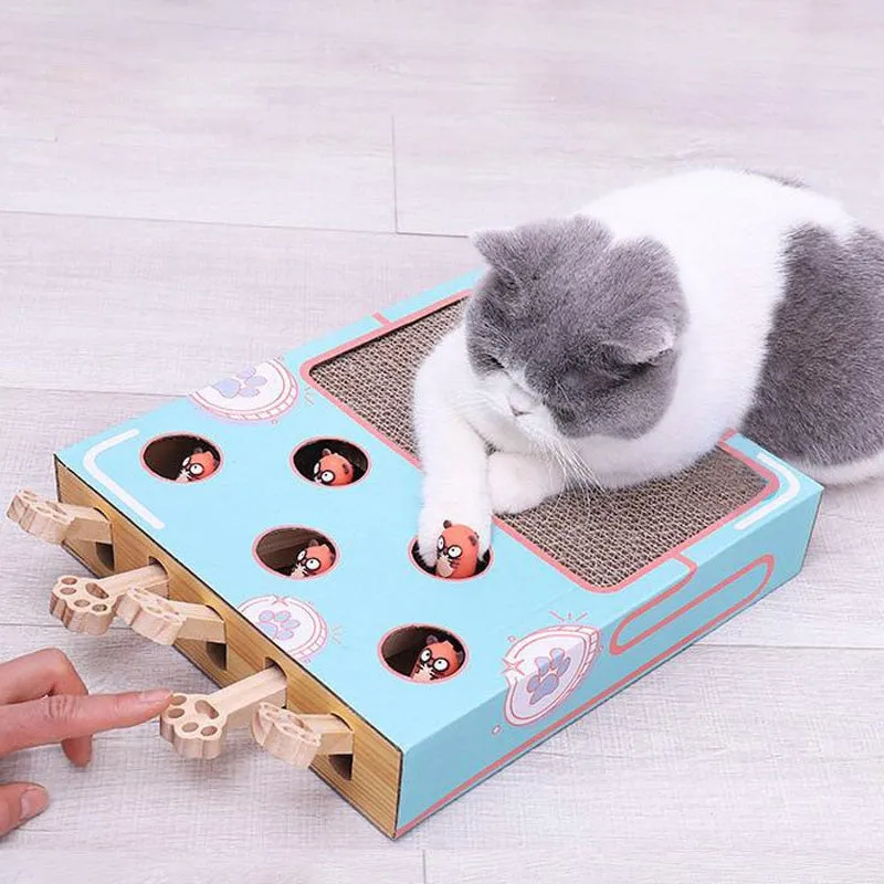 Peekaboo Interactive Cat Toy