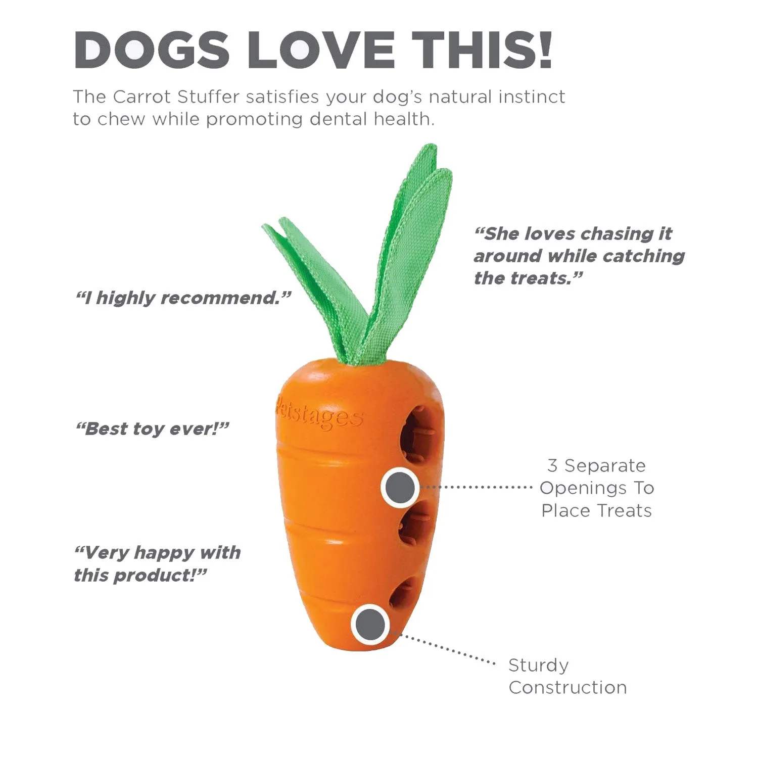 Petstages Carrot Stuffer Dental Chew Toy