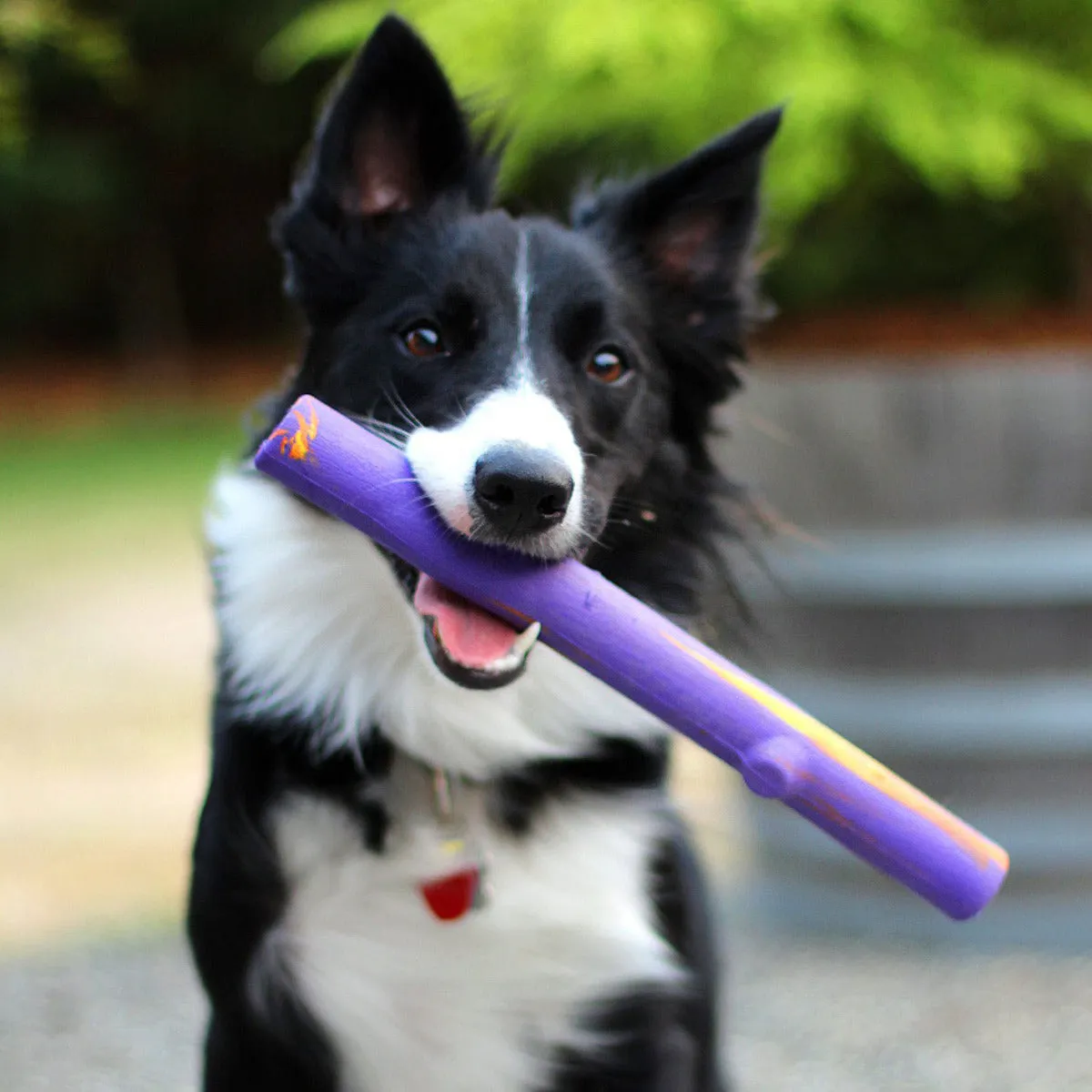 Ruff Dawg Crunch Stick Dog Toy