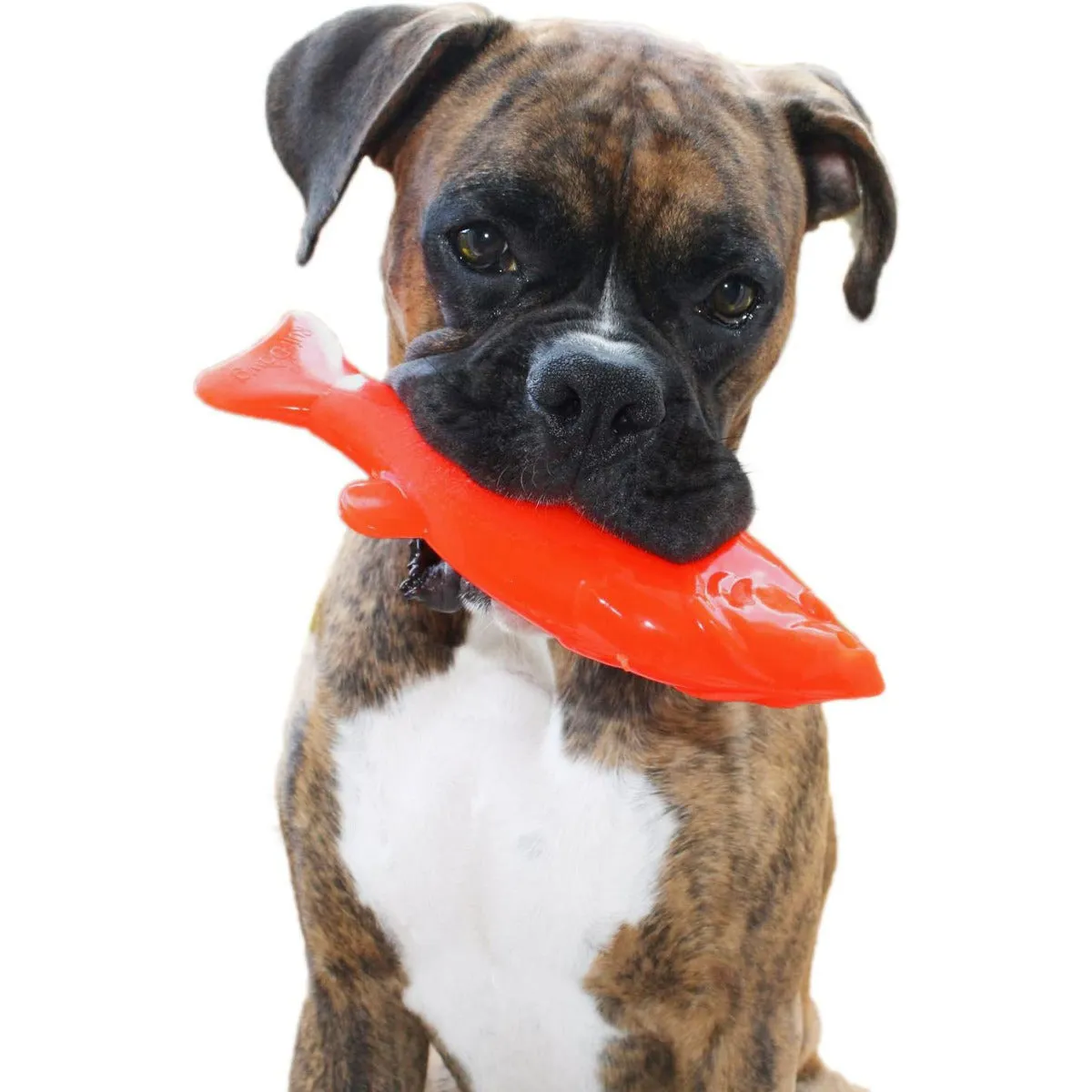 Ruff Dawg Flying Fish Dog Toy