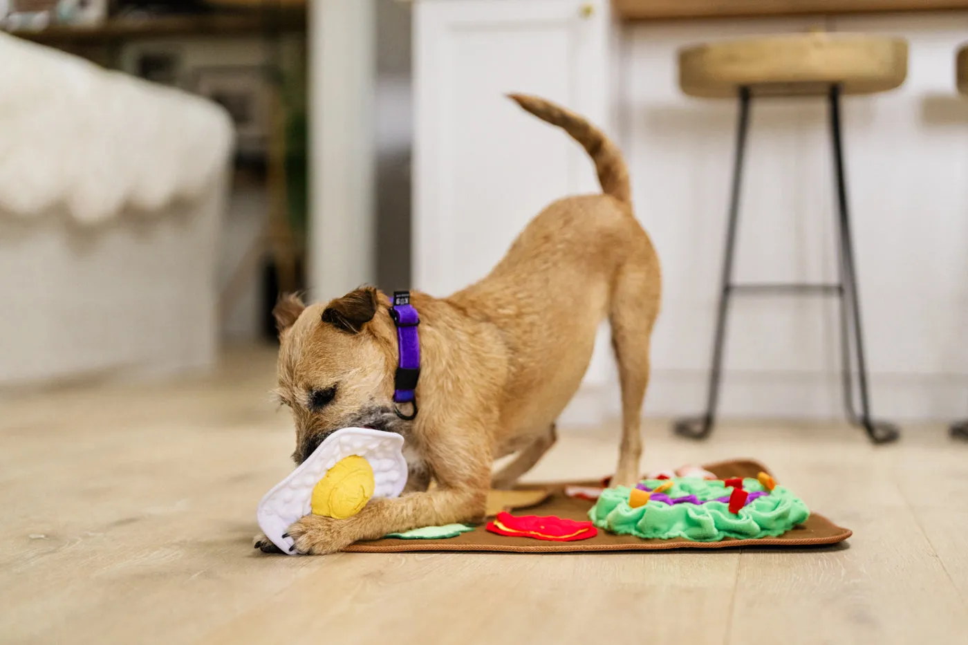 Savory Sunrise Snuffle Mat