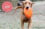 SODAPUP BOTTLE TOP FLYER DURABLE RUBBER RETRIEVING FRISBEE