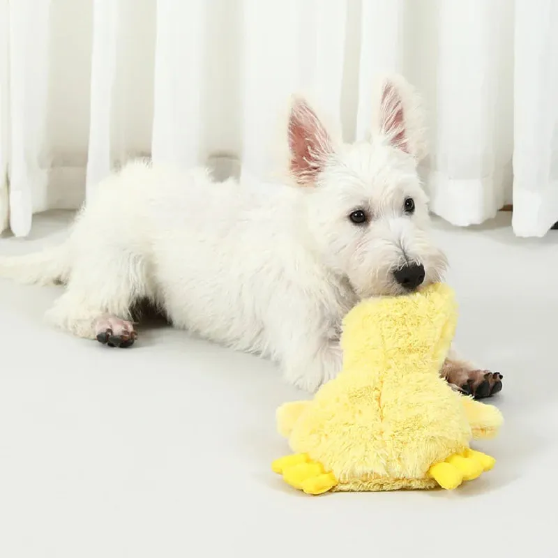 Squeaky Yellow Duck Plush Toy